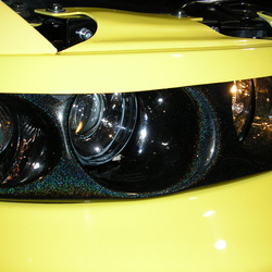 spector